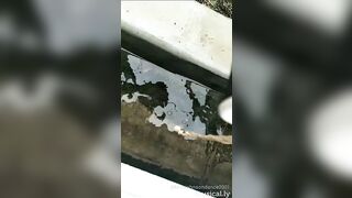 [1962 of 3935 Vids] Bree Louise (bree_louisexoxo aka breebbydance) OnlyFans Leaks Nude