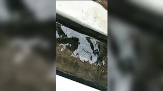 [1962 of 3935 Vids] Bree Louise (bree_louisexoxo aka breebbydance) OnlyFans Leaks Nude