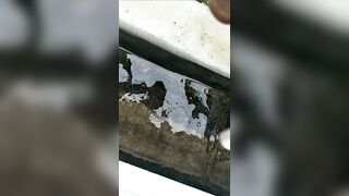 [1962 of 3935 Vids] Bree Louise (bree_louisexoxo aka breebbydance) OnlyFans Leaks Nude