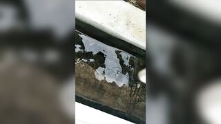 [1962 of 3935 Vids] Bree Louise (bree_louisexoxo aka breebbydance) OnlyFans Leaks Nude