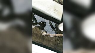 [1962 of 3935 Vids] Bree Louise (bree_louisexoxo aka breebbydance) OnlyFans Leaks Nude