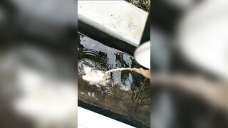 [1962 of 3935 Vids] Bree Louise (bree_louisexoxo aka breebbydance) OnlyFans Leaks Nude