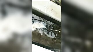 [1962 of 3935 Vids] Bree Louise (bree_louisexoxo aka breebbydance) OnlyFans Leaks Nude