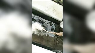 [1962 of 3935 Vids] Bree Louise (bree_louisexoxo aka breebbydance) OnlyFans Leaks Nude