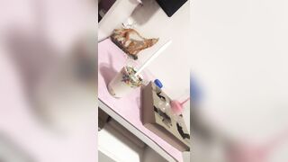 [1981 of 3935 Vids] Bree Louise (bree_louisexoxo aka breebbydance) OnlyFans Leaks Nude