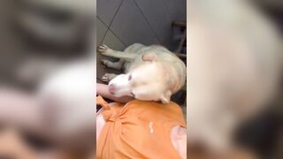 [1992 of 3935 Vids] Bree Louise (bree_louisexoxo aka breebbydance) OnlyFans Leaks Nude