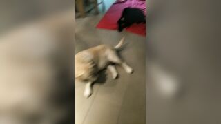 [2005 of 3935 Vids] Bree Louise (bree_louisexoxo aka breebbydance) OnlyFans Leaks Nude