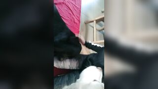 [2005 of 3935 Vids] Bree Louise (bree_louisexoxo aka breebbydance) OnlyFans Leaks Nude