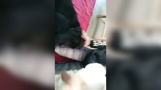 [2005 of 3935 Vids] Bree Louise (bree_louisexoxo aka breebbydance) OnlyFans Leaks Nude