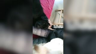 [2005 of 3935 Vids] Bree Louise (bree_louisexoxo aka breebbydance) OnlyFans Leaks Nude