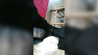 [2005 of 3935 Vids] Bree Louise (bree_louisexoxo aka breebbydance) OnlyFans Leaks Nude