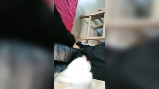 [2005 of 3935 Vids] Bree Louise (bree_louisexoxo aka breebbydance) OnlyFans Leaks Nude