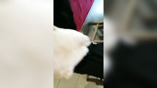 [2005 of 3935 Vids] Bree Louise (bree_louisexoxo aka breebbydance) OnlyFans Leaks Nude