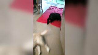 [2005 of 3935 Vids] Bree Louise (bree_louisexoxo aka breebbydance) OnlyFans Leaks Nude