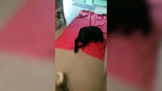 [2005 of 3935 Vids] Bree Louise (bree_louisexoxo aka breebbydance) OnlyFans Leaks Nude