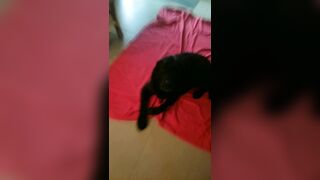 [2005 of 3935 Vids] Bree Louise (bree_louisexoxo aka breebbydance) OnlyFans Leaks Nude