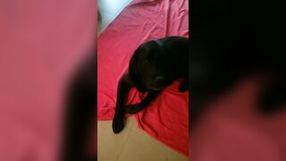 [2005 of 3935 Vids] Bree Louise (bree_louisexoxo aka breebbydance) OnlyFans Leaks Nude