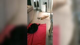 [2005 of 3935 Vids] Bree Louise (bree_louisexoxo aka breebbydance) OnlyFans Leaks Nude