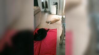 [2005 of 3935 Vids] Bree Louise (bree_louisexoxo aka breebbydance) OnlyFans Leaks Nude