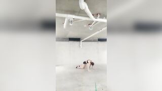 [2044 of 3935 Vids] Bree Louise (bree_louisexoxo aka breebbydance) OnlyFans Leaks Nude