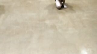 [2086 of 3935 Vids] Bree Louise (bree_louisexoxo aka breebbydance) OnlyFans Leaks Nude