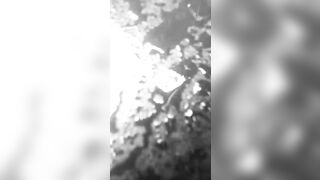 [2118 of 3935 Vids] Bree Louise (bree_louisexoxo aka breebbydance) OnlyFans Leaks Nude