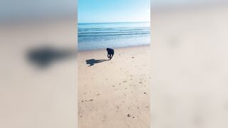 [2137 of 3935 Vids] Bree Louise (bree_louisexoxo aka breebbydance) OnlyFans Leaks Nude