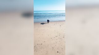 [2137 of 3935 Vids] Bree Louise (bree_louisexoxo aka breebbydance) OnlyFans Leaks Nude