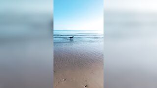 [2137 of 3935 Vids] Bree Louise (bree_louisexoxo aka breebbydance) OnlyFans Leaks Nude