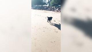 [2137 of 3935 Vids] Bree Louise (bree_louisexoxo aka breebbydance) OnlyFans Leaks Nude