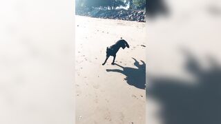 [2137 of 3935 Vids] Bree Louise (bree_louisexoxo aka breebbydance) OnlyFans Leaks Nude