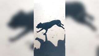 [2137 of 3935 Vids] Bree Louise (bree_louisexoxo aka breebbydance) OnlyFans Leaks Nude