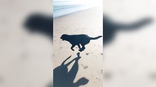 [2137 of 3935 Vids] Bree Louise (bree_louisexoxo aka breebbydance) OnlyFans Leaks Nude