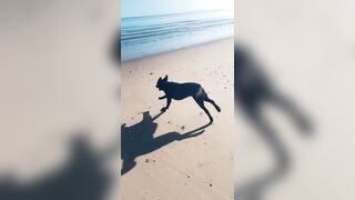 [2137 of 3935 Vids] Bree Louise (bree_louisexoxo aka breebbydance) OnlyFans Leaks Nude