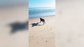 [2137 of 3935 Vids] Bree Louise (bree_louisexoxo aka breebbydance) OnlyFans Leaks Nude