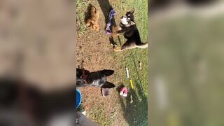 [2149 of 3935 Vids] Bree Louise (bree_louisexoxo aka breebbydance) OnlyFans Leaks Nude