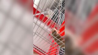 [2149 of 3935 Vids] Bree Louise (bree_louisexoxo aka breebbydance) OnlyFans Leaks Nude