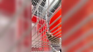 [2149 of 3935 Vids] Bree Louise (bree_louisexoxo aka breebbydance) OnlyFans Leaks Nude