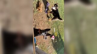 [2149 of 3935 Vids] Bree Louise (bree_louisexoxo aka breebbydance) OnlyFans Leaks Nude