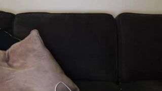 Melissa Debling (MelissaD89) Onlyfans Leaked Girl Model Porn Video 133