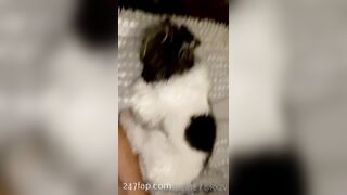 Rosa Verte (rosaverter) onlyfans Onlyfans Leaked Girl Model Porn Video 265