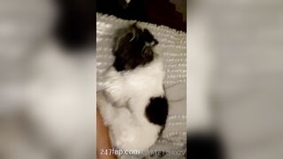 Rosa Verte (rosaverter) onlyfans Onlyfans Leaked Girl Model Porn Video 265