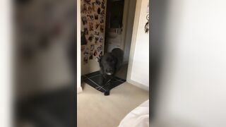 [2206 of 3935 Vids] Bree Louise (bree_louisexoxo aka breebbydance) OnlyFans Leaks Nude