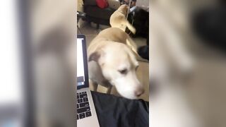 [2206 of 3935 Vids] Bree Louise (bree_louisexoxo aka breebbydance) OnlyFans Leaks Nude