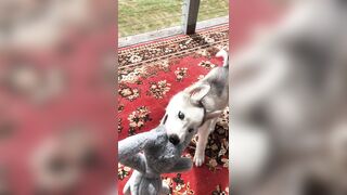 [2238 of 3935 Vids] Bree Louise (bree_louisexoxo aka breebbydance) OnlyFans Leaks Nude