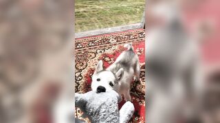 [2238 of 3935 Vids] Bree Louise (bree_louisexoxo aka breebbydance) OnlyFans Leaks Nude