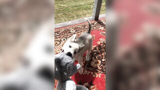 [2238 of 3935 Vids] Bree Louise (bree_louisexoxo aka breebbydance) OnlyFans Leaks Nude