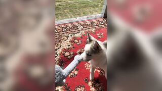 [2238 of 3935 Vids] Bree Louise (bree_louisexoxo aka breebbydance) OnlyFans Leaks Nude