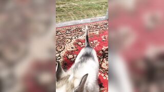 [2238 of 3935 Vids] Bree Louise (bree_louisexoxo aka breebbydance) OnlyFans Leaks Nude