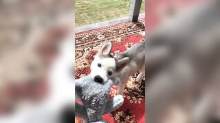 [2238 of 3935 Vids] Bree Louise (bree_louisexoxo aka breebbydance) OnlyFans Leaks Nude